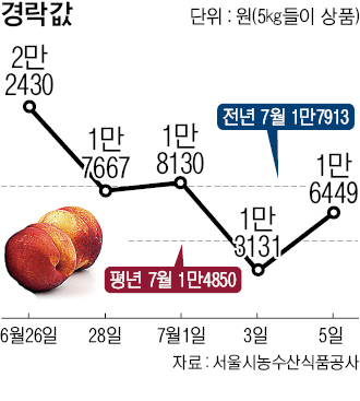 중앙청과마트 이미지