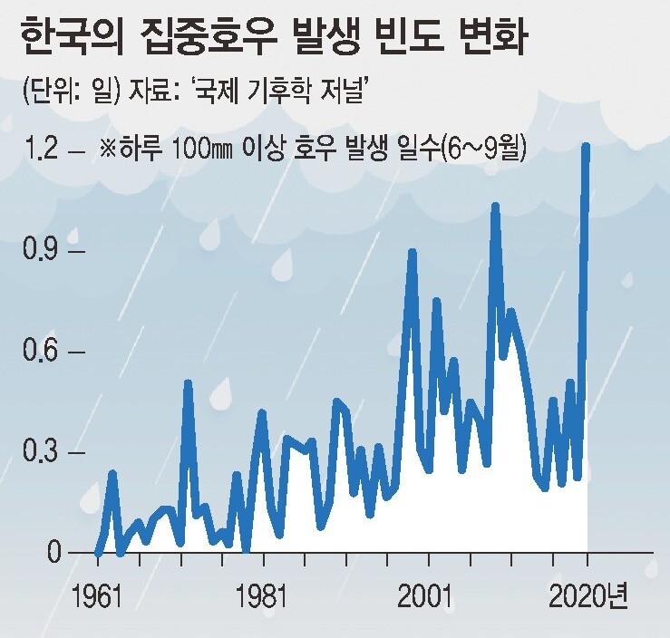 호우국제 이미지