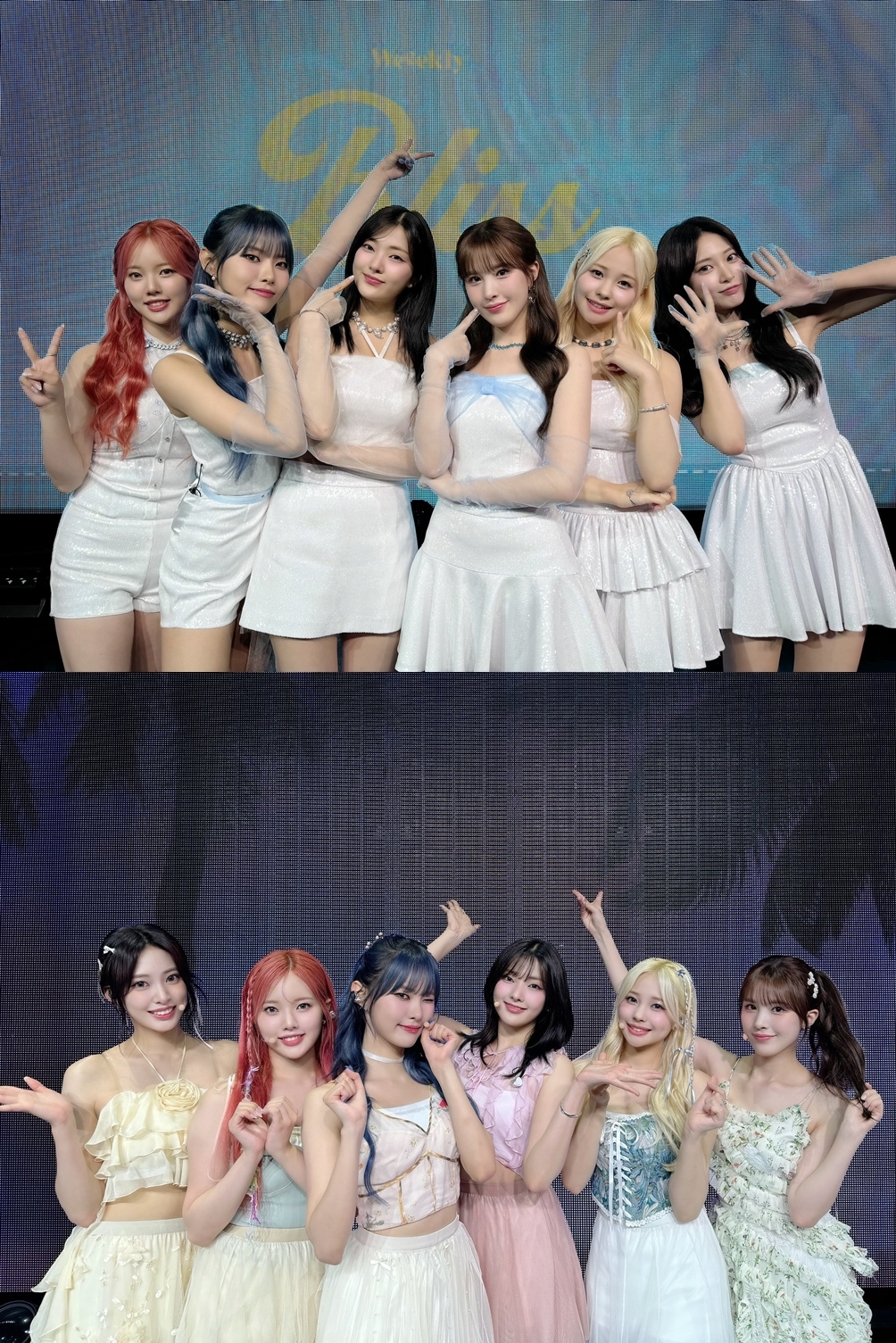 위클리 이미지