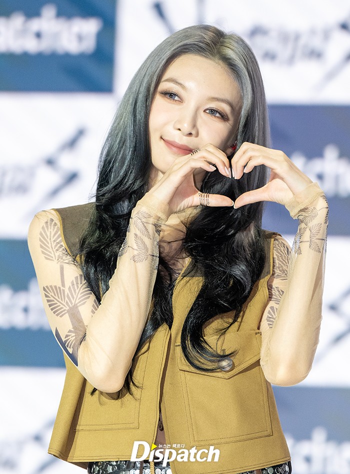다미 이미지