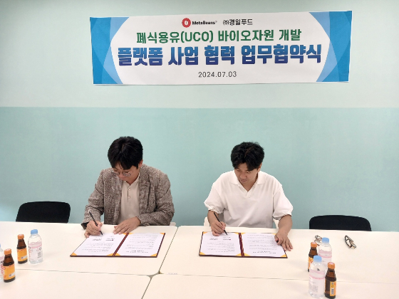 빈스 이미지