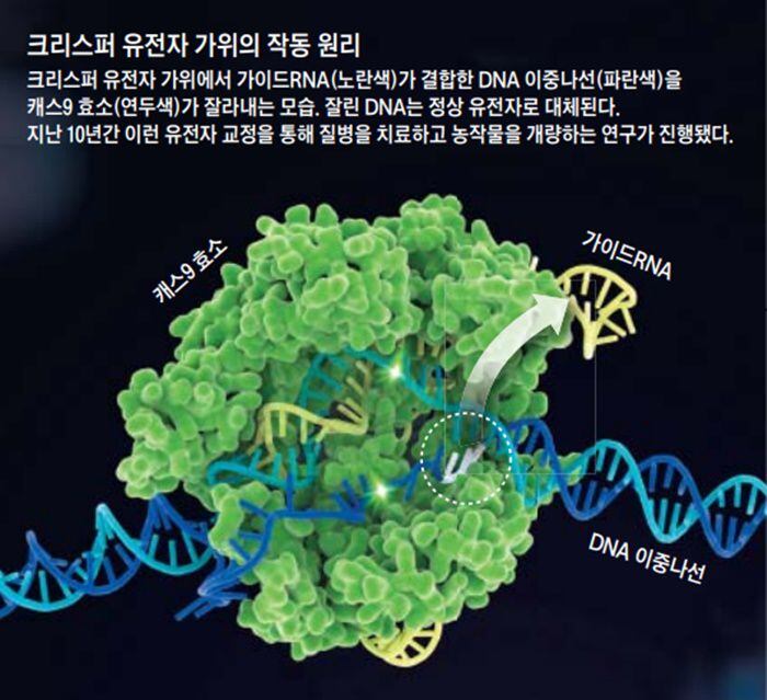 가위소리 이미지