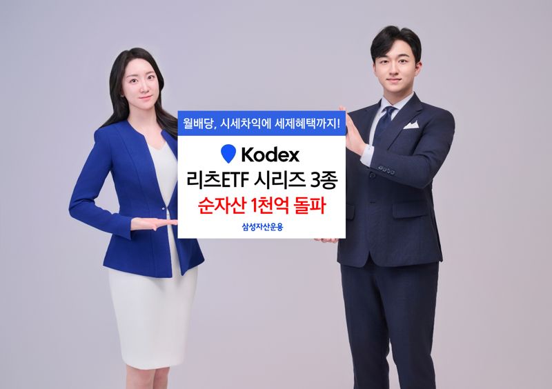 리츠 이미지
