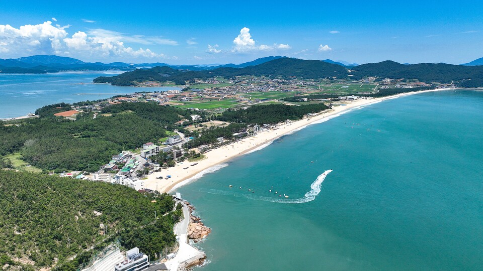 온전 이미지