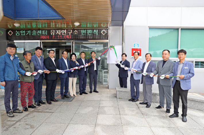 유자인 이미지