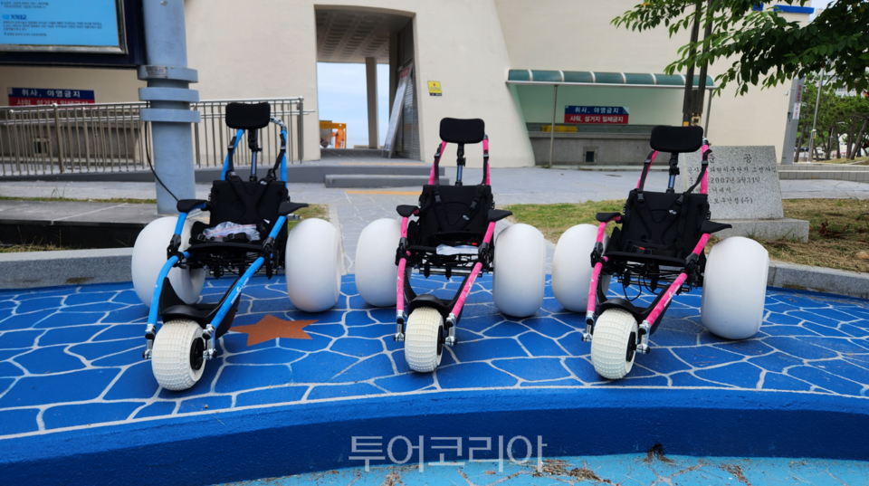 개운인력 이미지