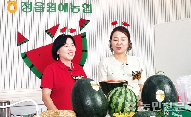 정읍원예농업협동조합 이미지