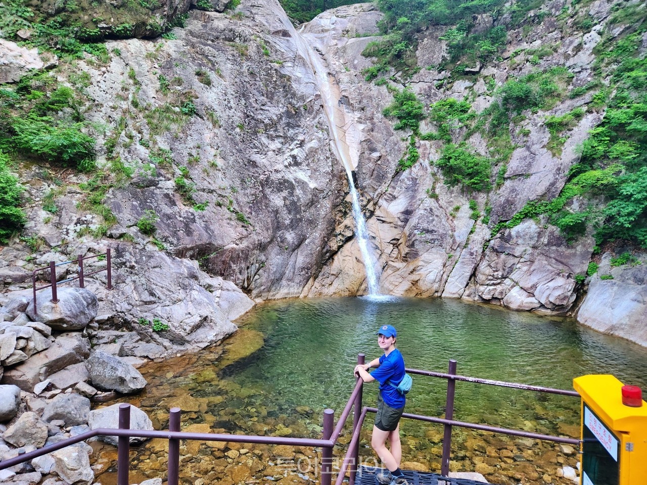 초록숲 이미지