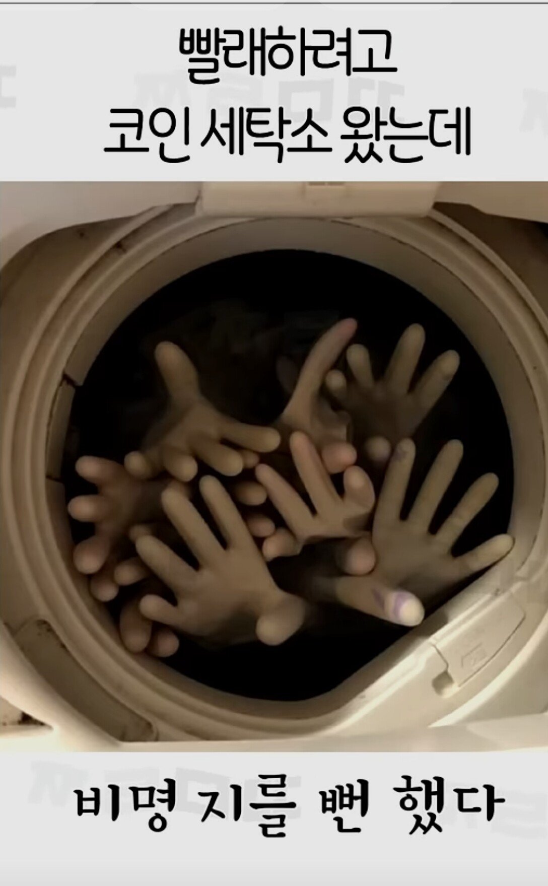 빨래하려고 코인세탁소 왔는데 비명 지를 뻔했다.jpg | 에펨코리아