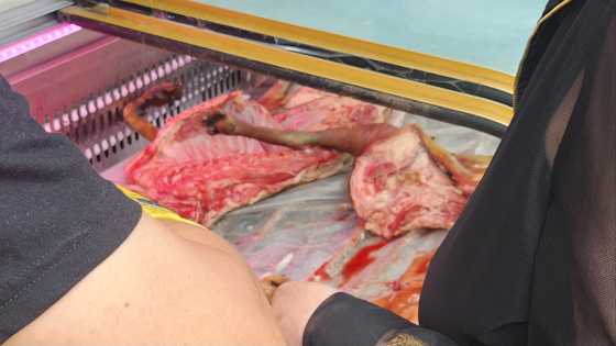 meat고 이미지