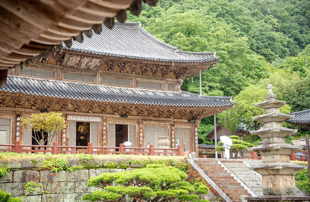 지리산청과 이미지