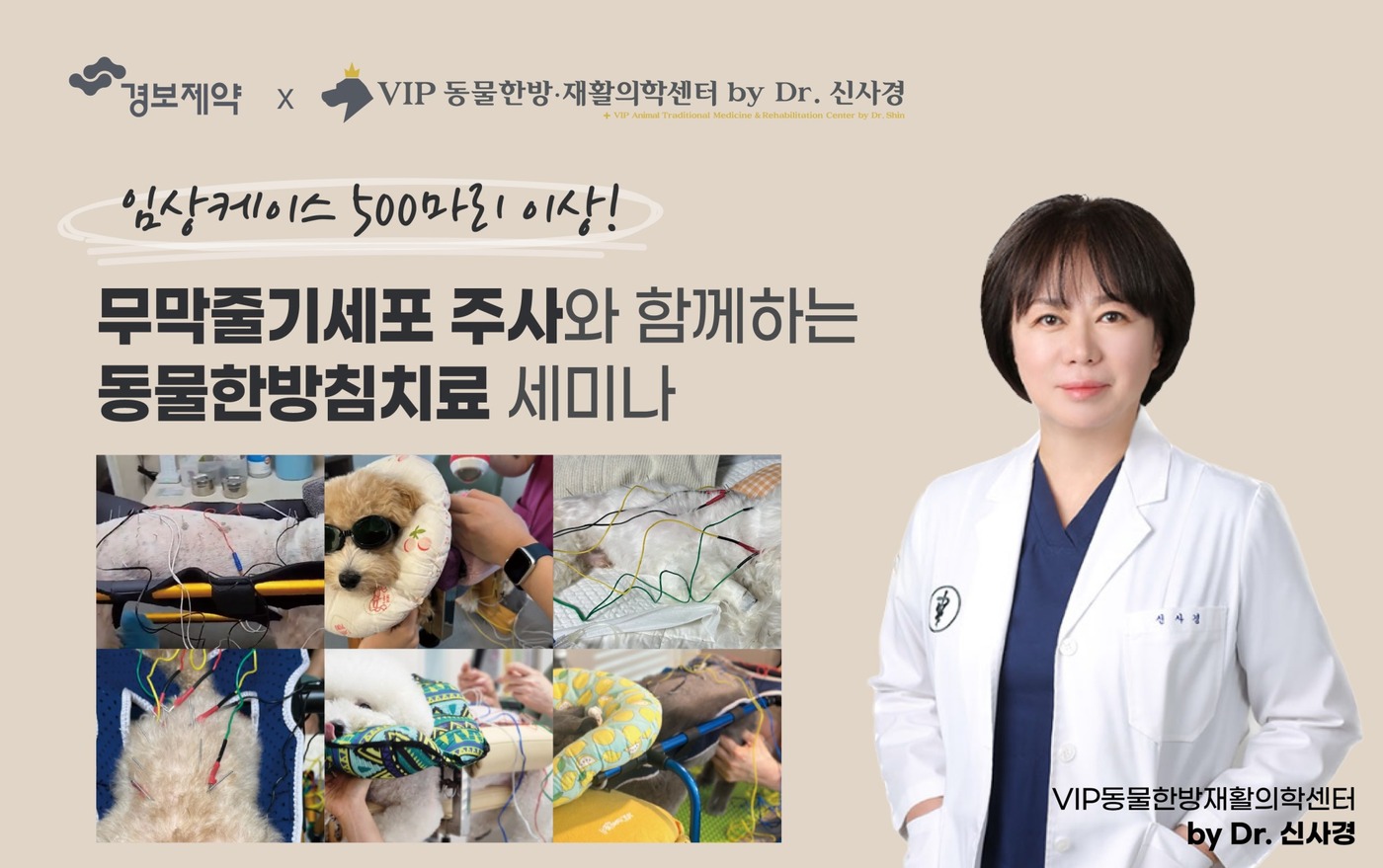 인벳츠 이미지