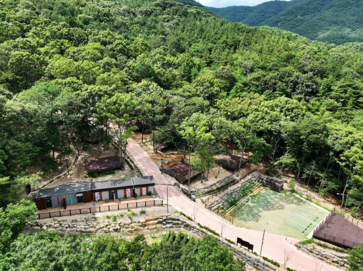 숲속 이미지