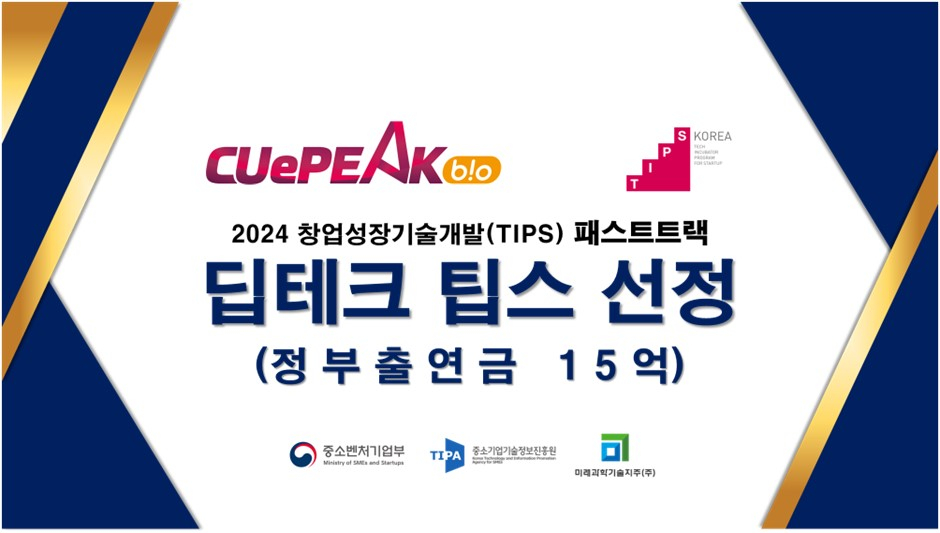 원피크 이미지