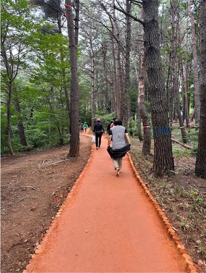 솔밭체육공원 이미지