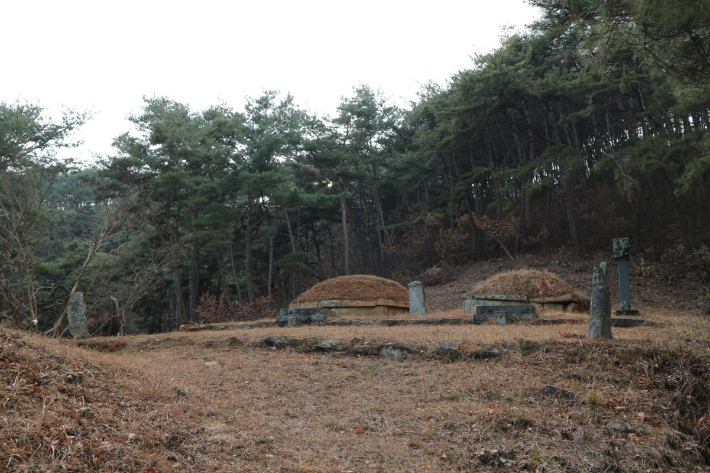 이오 이미지