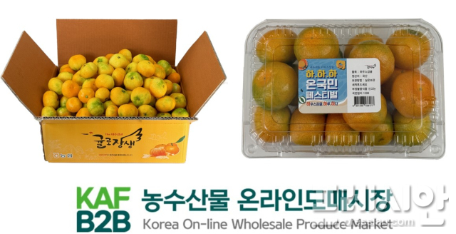 농수산물 온라인도매시장 이미지