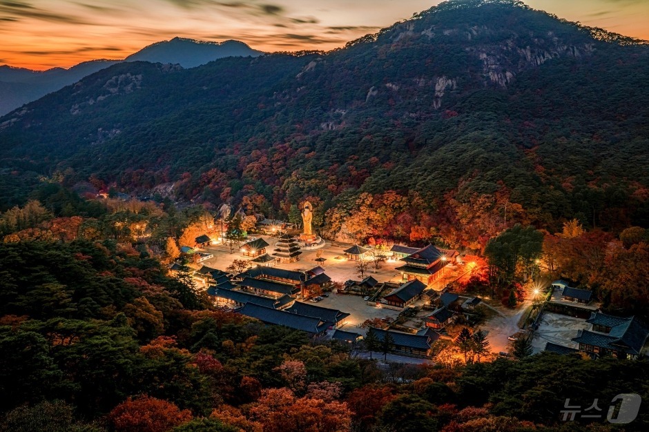 보은 이미지