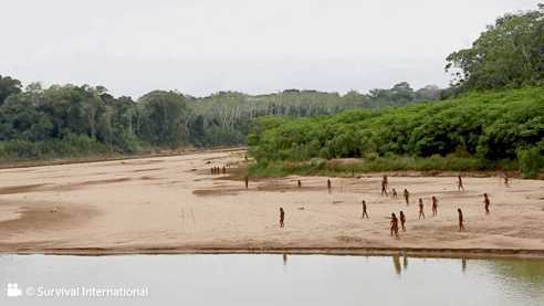 강가에 나와 있는 마슈코 피로 부족민. 서바이벌 인터내셔널 제공
