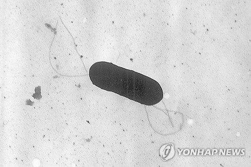 meat고 이미지