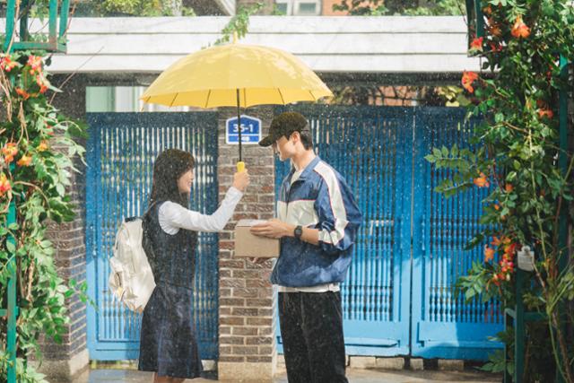 선재 이미지