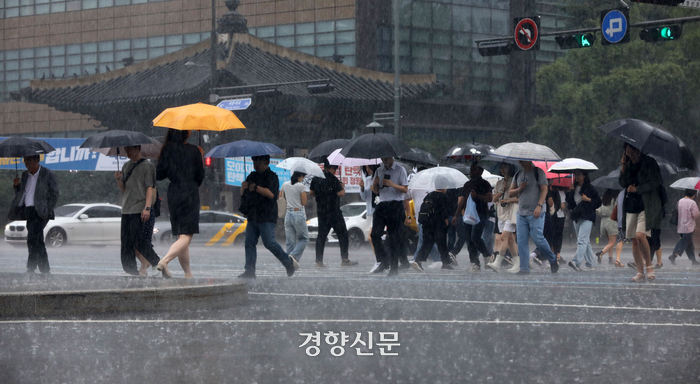 대서 이미지
