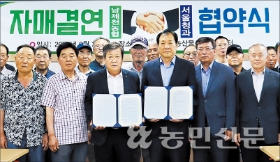 충북청과 이미지