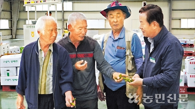 대관령원예농협 채소사업소 이미지