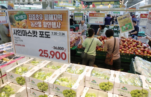 농산물포도판매 이미지