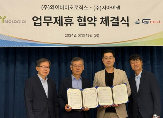 와이 이미지