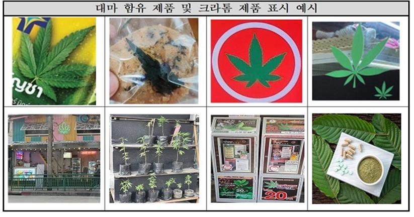(주)여행할때 이미지