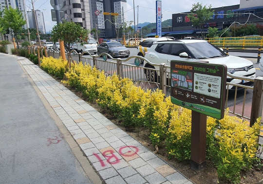 그린 숲 이미지