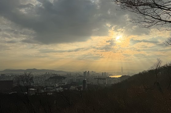 코모레비 이미지