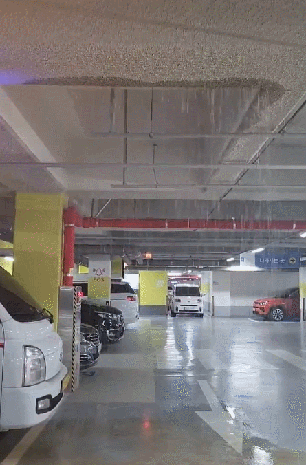 사진은 화성시 신축 아파트 지하주차장 천장에서 물이 쏟아지는 모습. /사진=온라인 커뮤니티 캡처