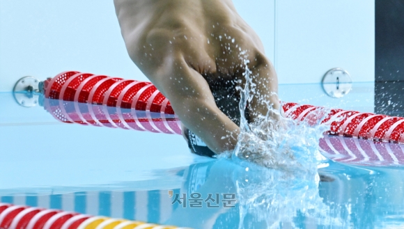 수부아 이미지