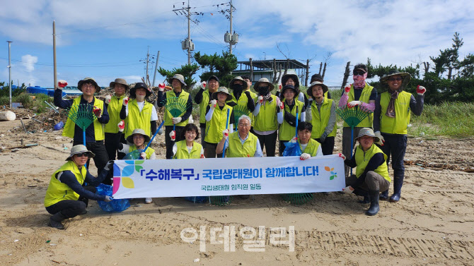 정화 이미지