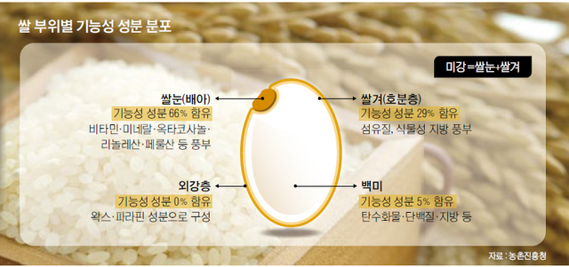 밥한그릇 이미지