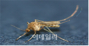 빨간집 이미지