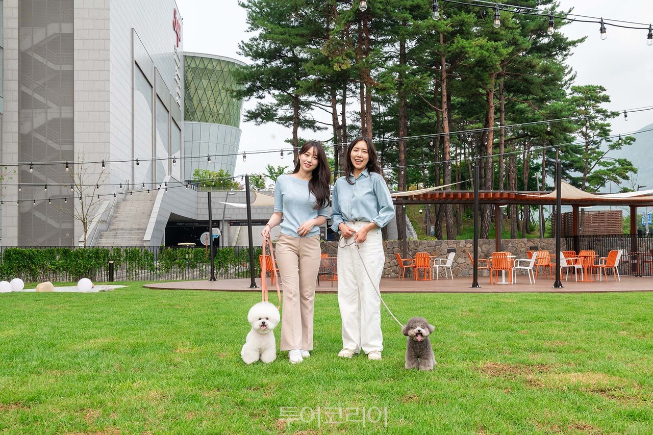 펫파크 이미지