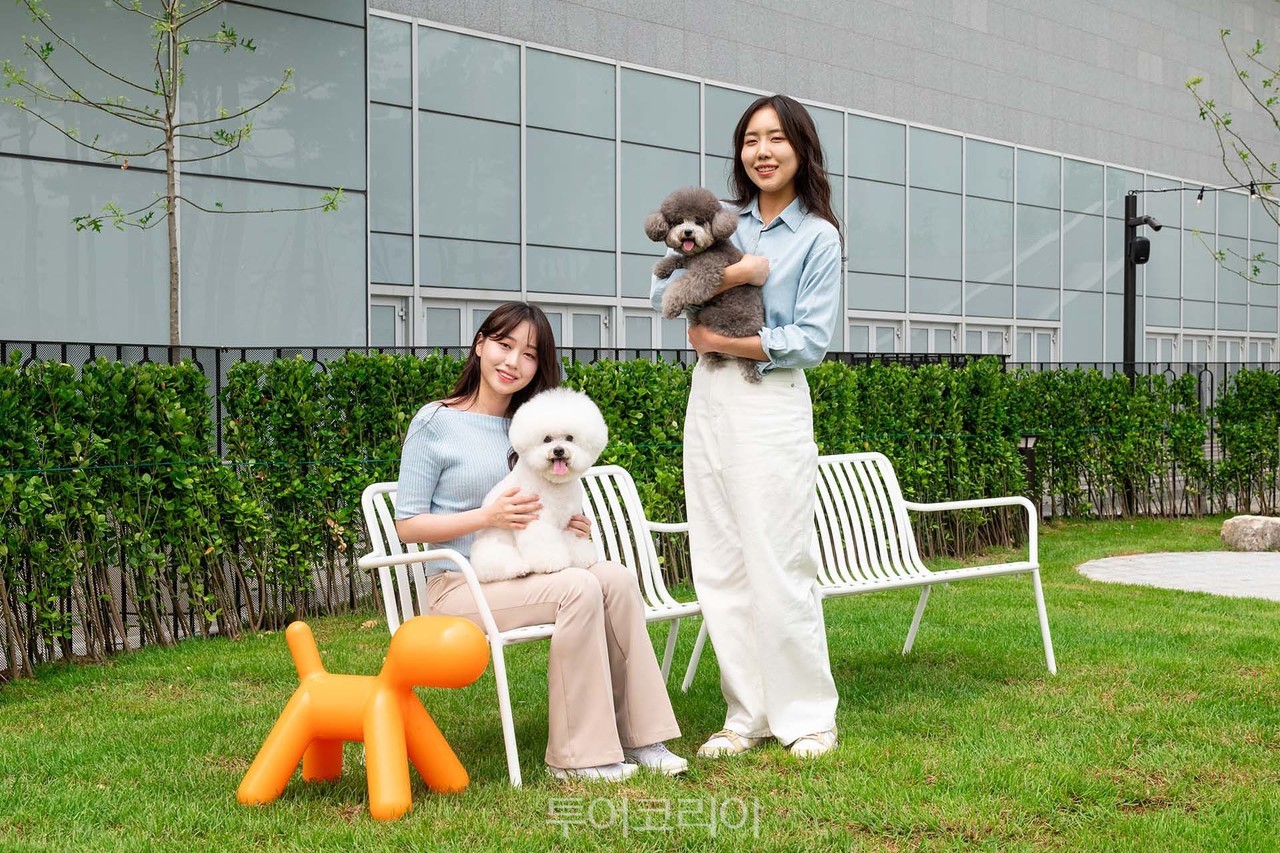 펫파크 이미지