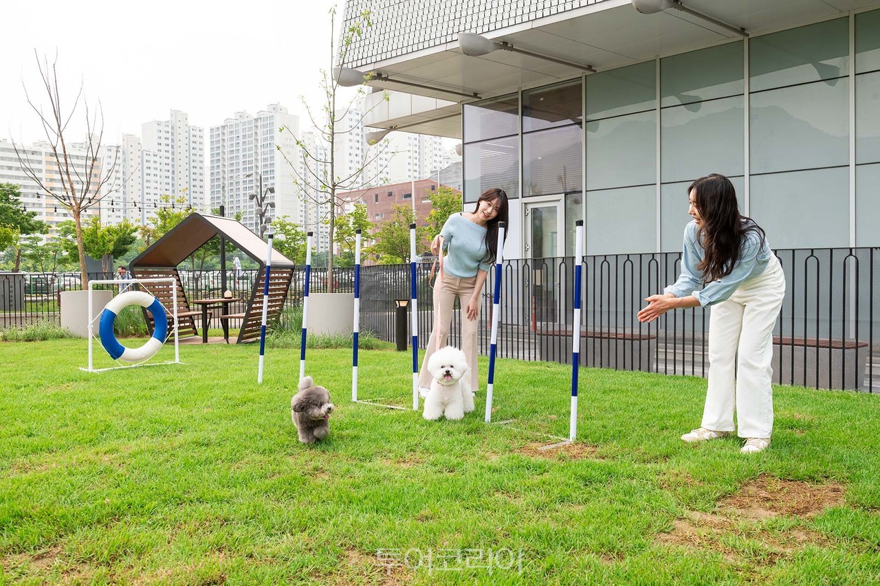 펫파크 이미지