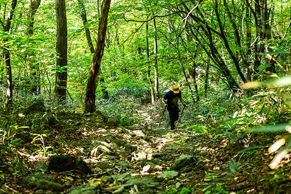 지리산대성골그집 이미지