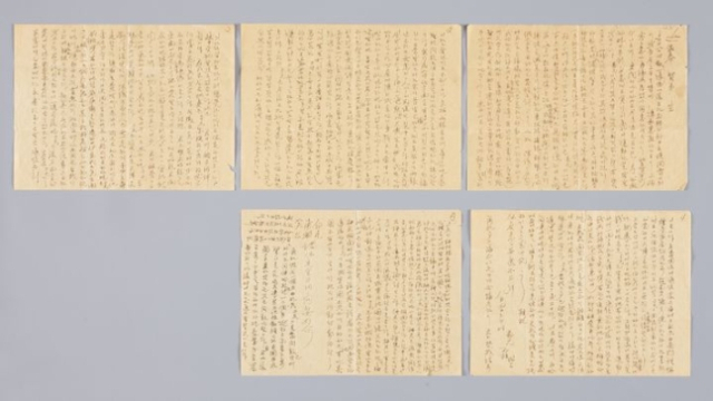 주식회사 차라리 이미지