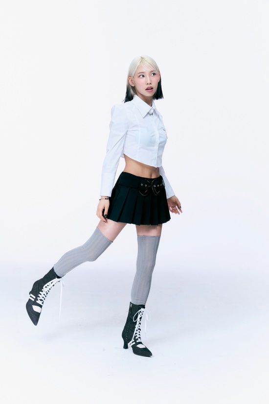 바로니즈 이미지