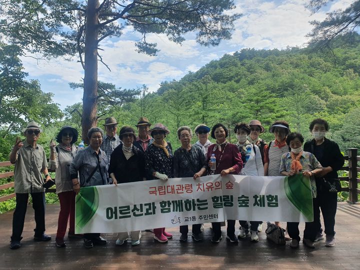 대관령 치유의 숲 이미지