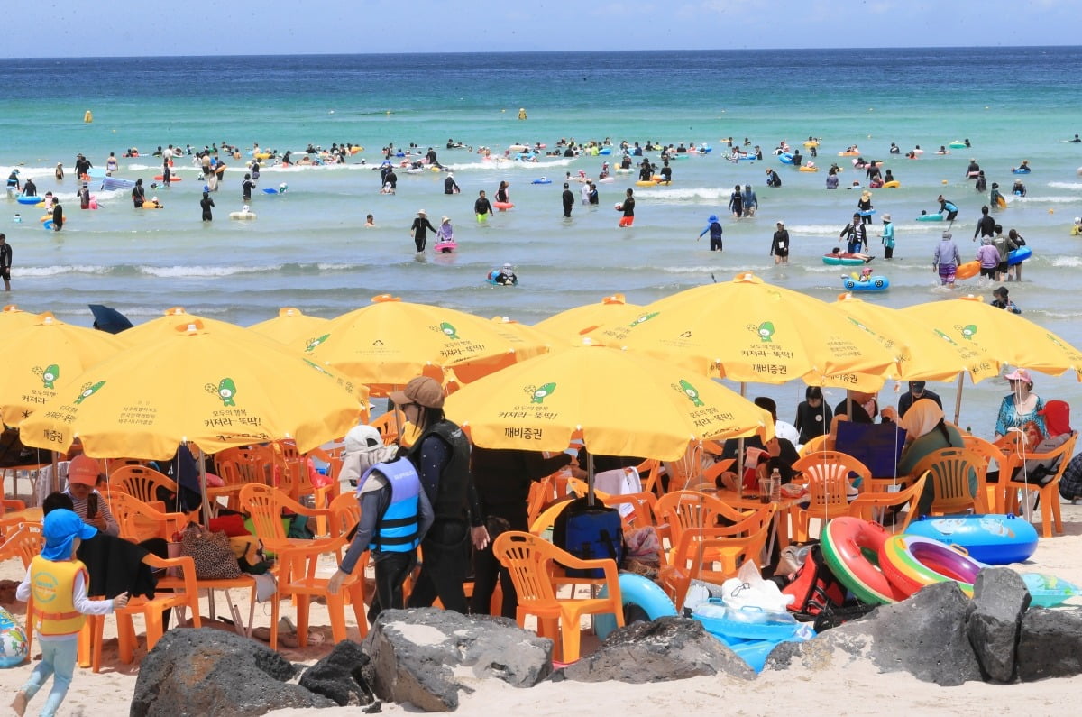 제주도 이미지