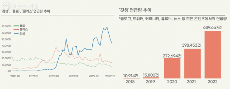 욜로 이미지