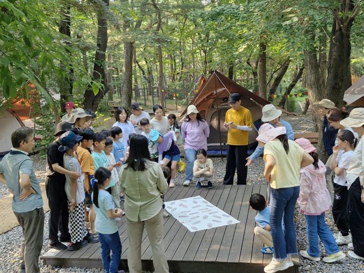 관악산 계곡 캠핑장 이미지