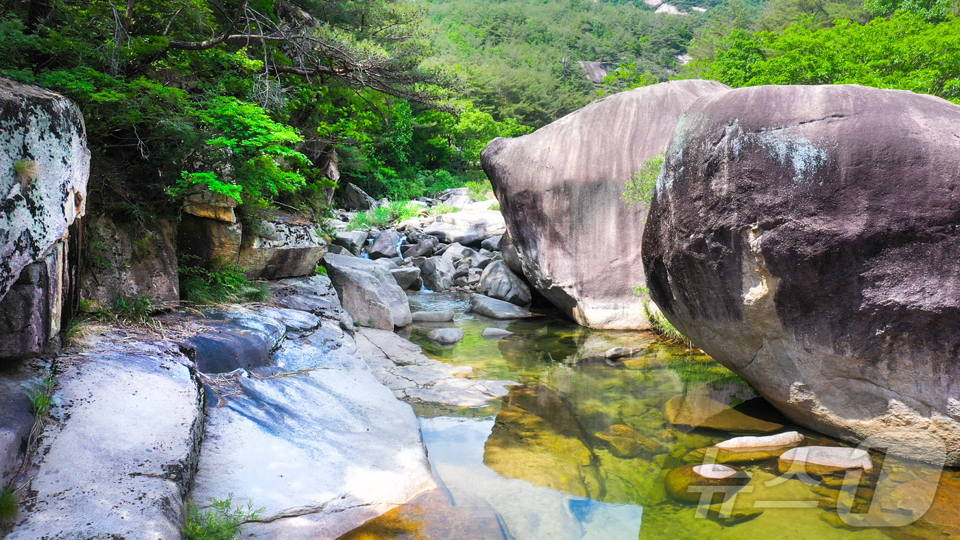 수려 이미지