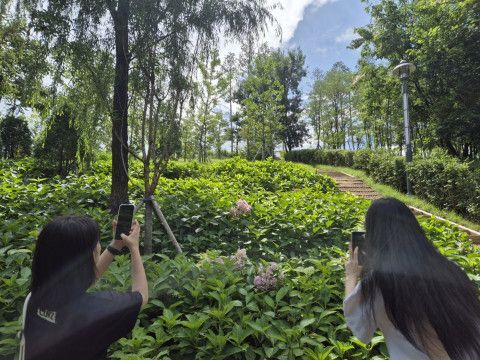 구미 이미지